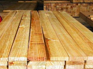 فروش چوب نراد روسی در گیلان